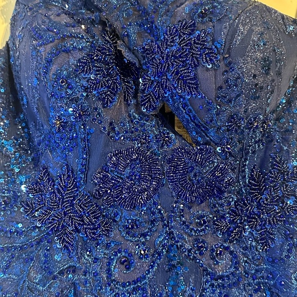 Portia and Scarlett Royal Blue Feathered Gown - Picture 5 of 14